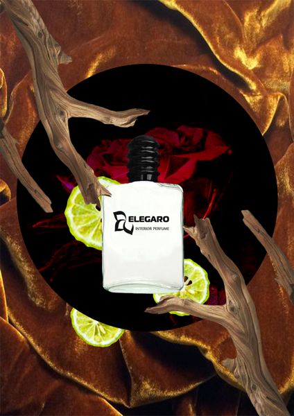 Інтер'єрний парфум Dizzy Mood (Elegaro) 3 мл+аромадифузор (407515515) 407515515 фото