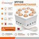 Овоскоп на 10 яєць (прилад для перегляду яєць) ТМ "KOLCHUGA" (Кольчуга) 8346569325 фото 2