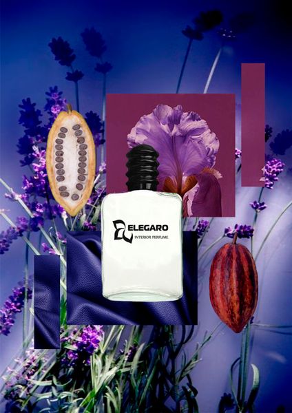 Інтер'єрний парфум Urban Style (Elegaro) 8 мл+аромадифузор (40751508) 40751508 фото